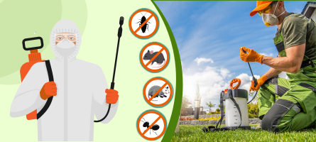 Emergency Pest Control Bayswater